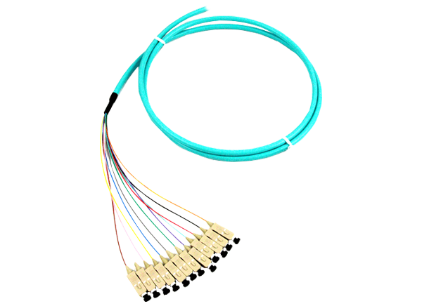 661bb5a06b9cc