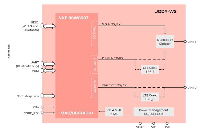 Block Diagram - u-blox M2-JODY-W2 Modules